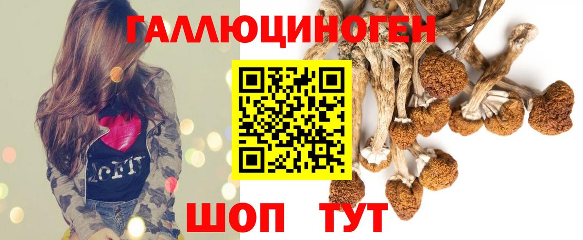 Псилоцибиновые грибы Psilocybe Нижнекамск